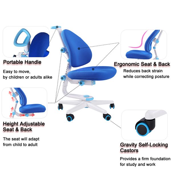 các bộ phận của ghế chống gù