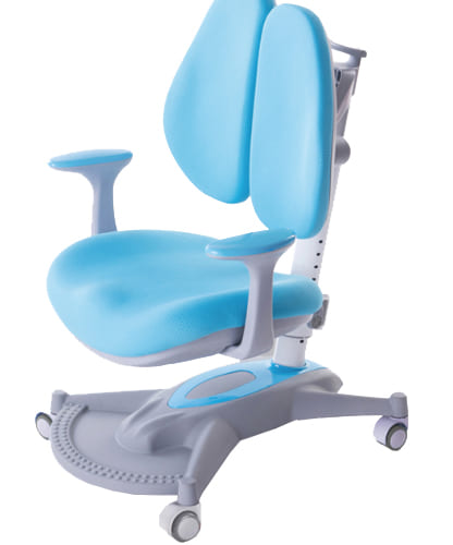 Ghế chống gù c2-1 xanh