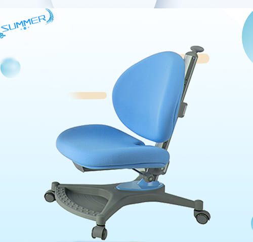 Ghế chống gù C2